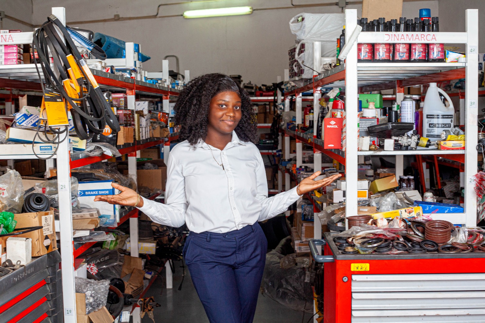 Substituição de bateria ANGO ITALIA